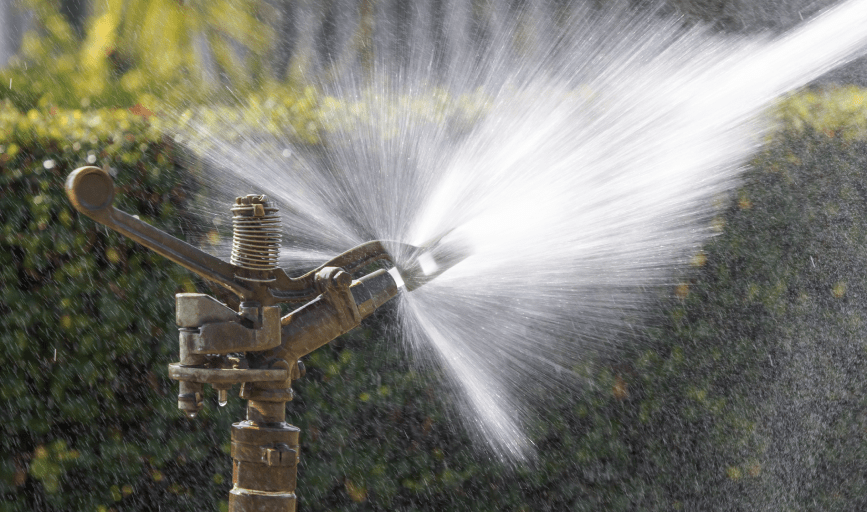 Backflow Boss