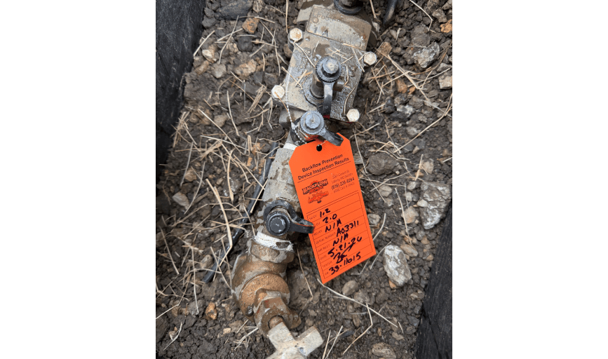 Backflow Boss